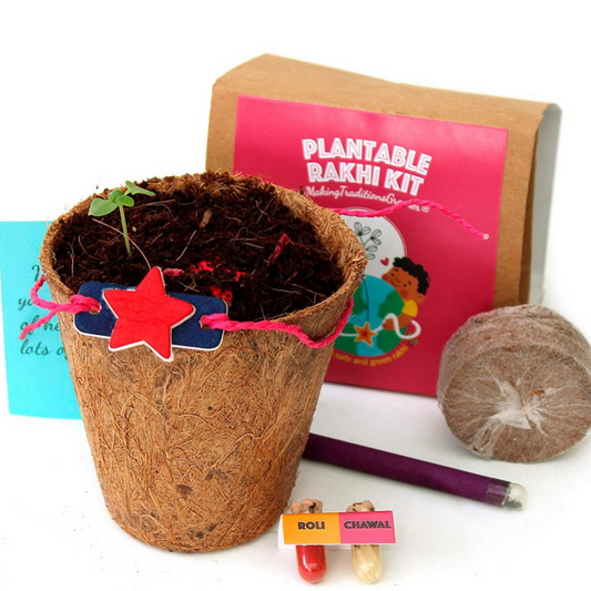 Eco-Friendly and Plantable Rakhi Kit for Rakshabandhan - Sun JAPRYB00
